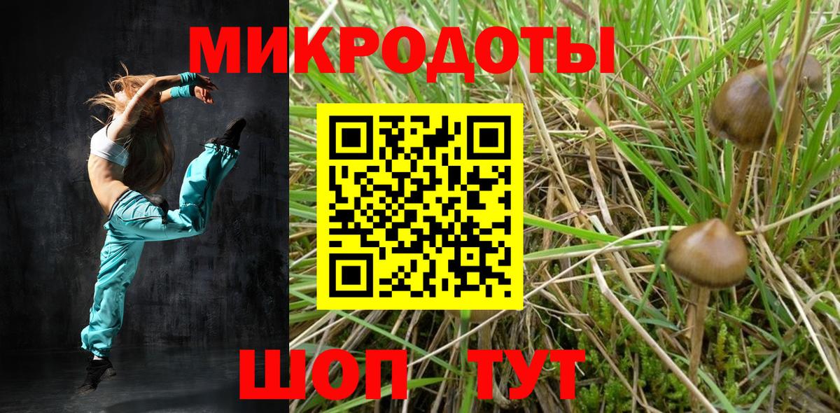 Гусев  Псилоцибиновые грибы Magic Shrooms  Вход с VPN 